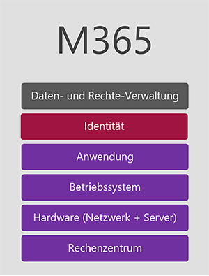 M365 V3