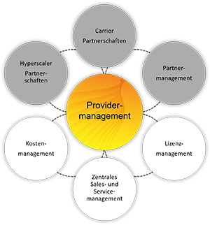 Providermanagement