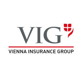 Vig