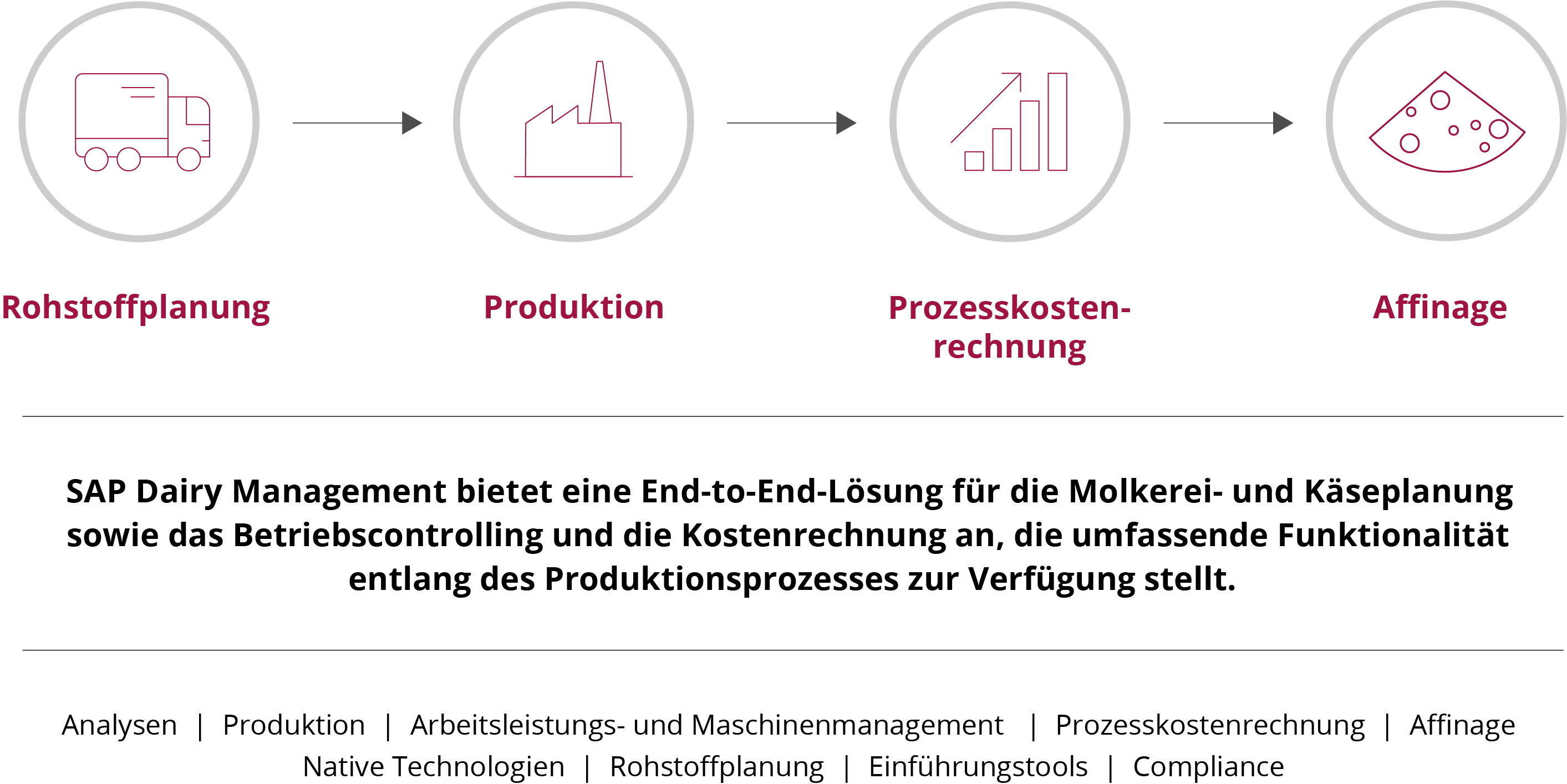 SAP Intelligent Suite